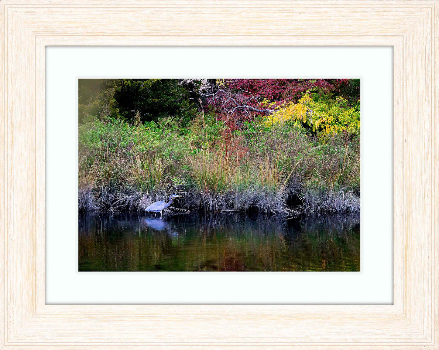 Cadle Creek Heron (Landscape) -- Digital Print
