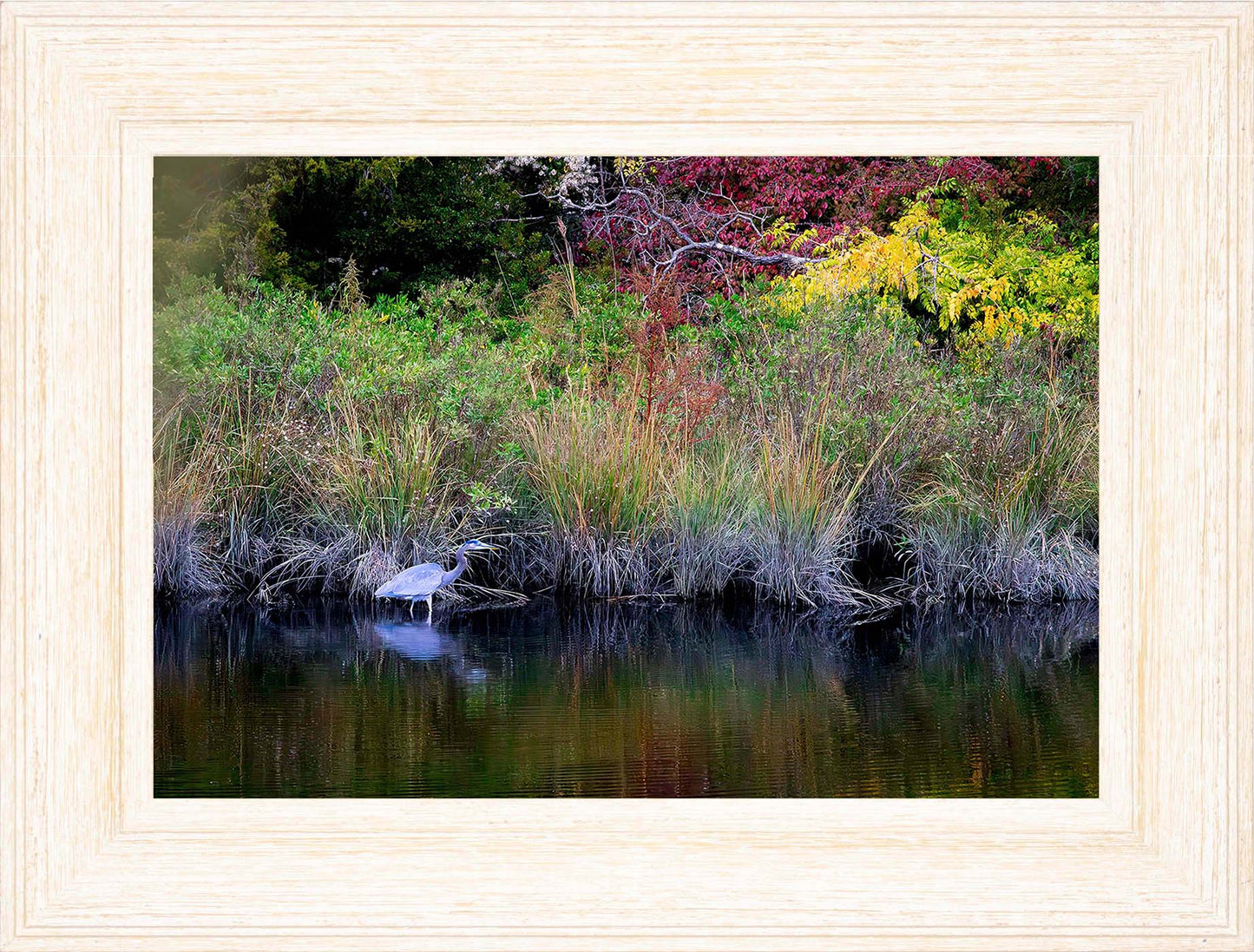 Cadle Creek Heron (Landscape) -- Digital Print
