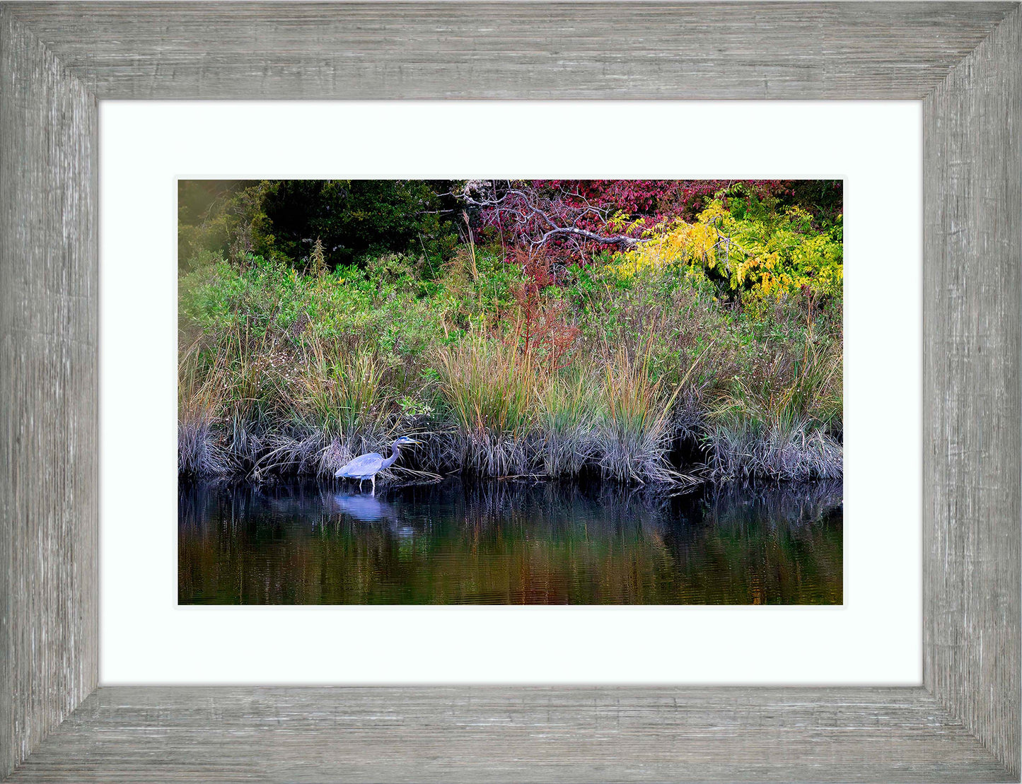 Cadle Creek Heron (Landscape) -- Digital Print