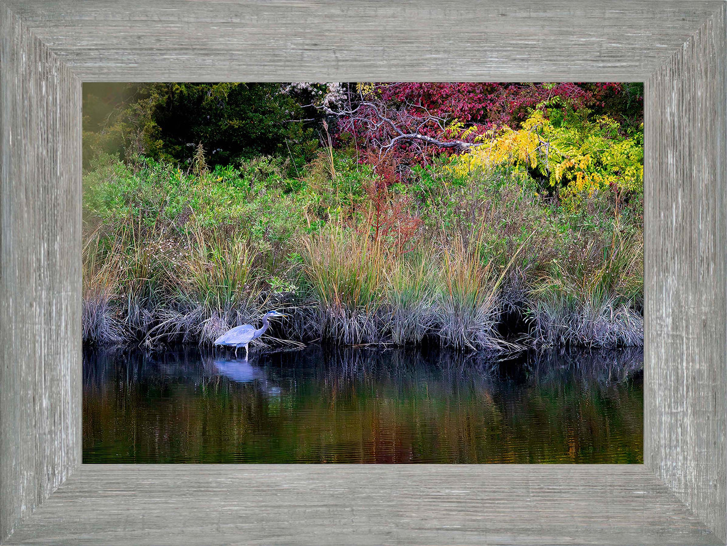 Cadle Creek Heron (Landscape) -- Digital Print