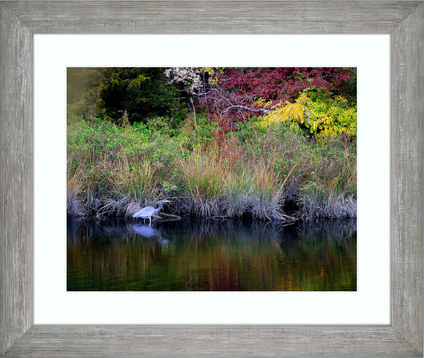 Cadle Creek Heron (Landscape) -- Digital Print