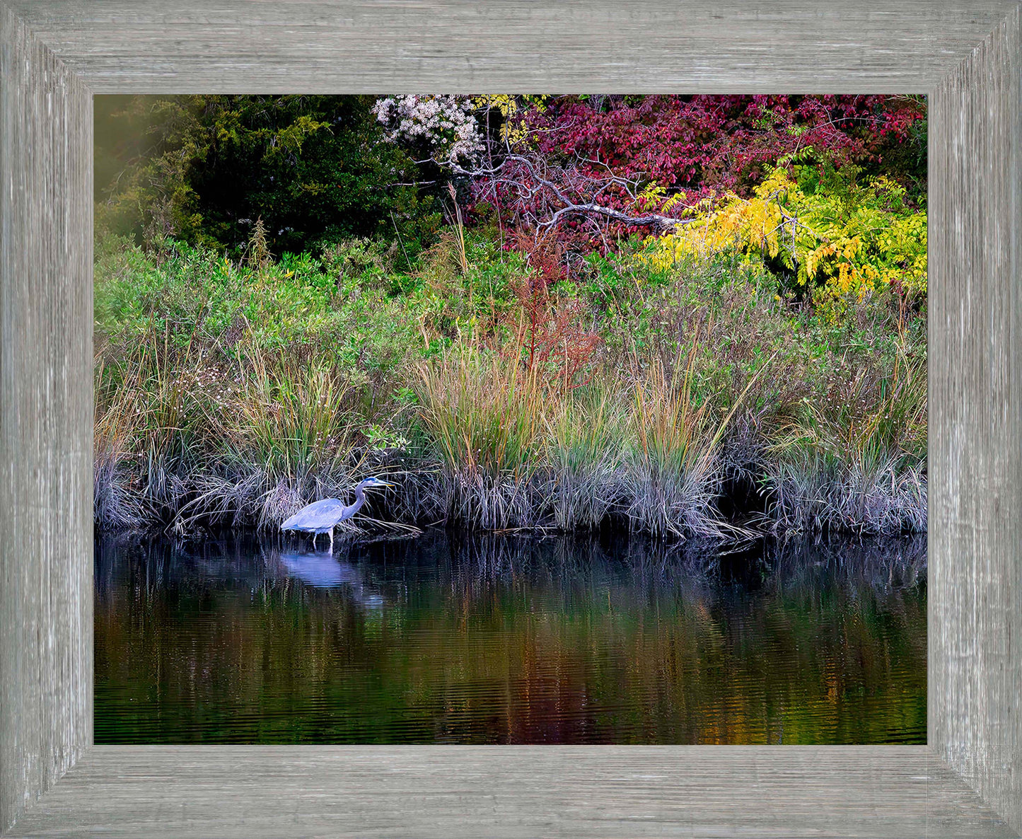 Cadle Creek Heron (Landscape) -- Digital Print