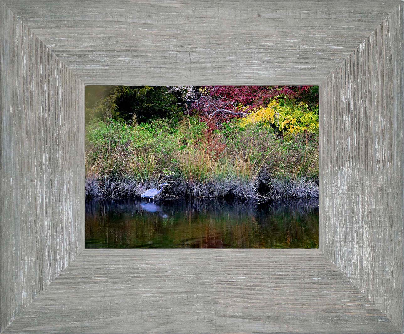 Cadle Creek Heron (Landscape) -- Digital Print