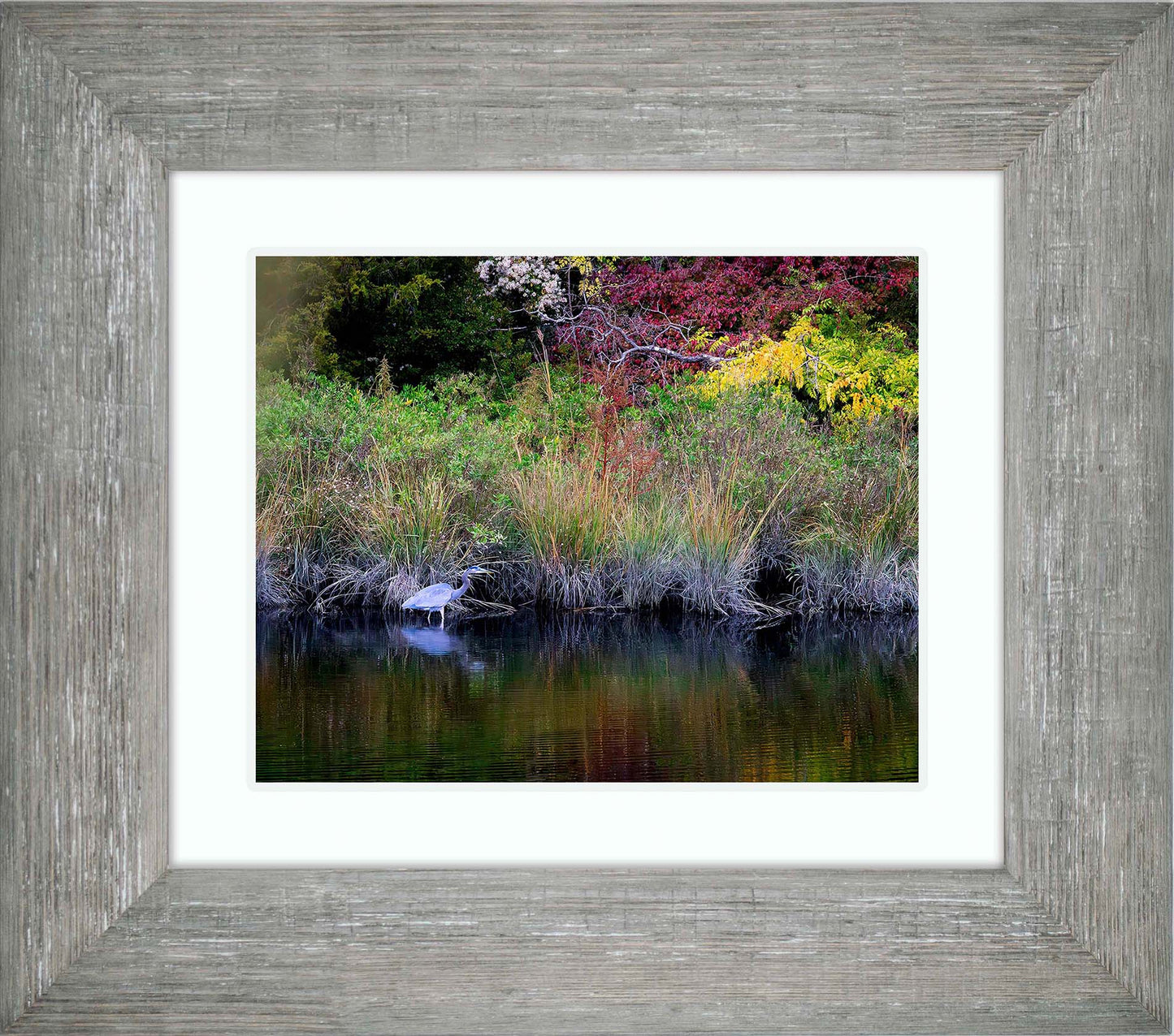 Cadle Creek Heron (Landscape) -- Digital Print