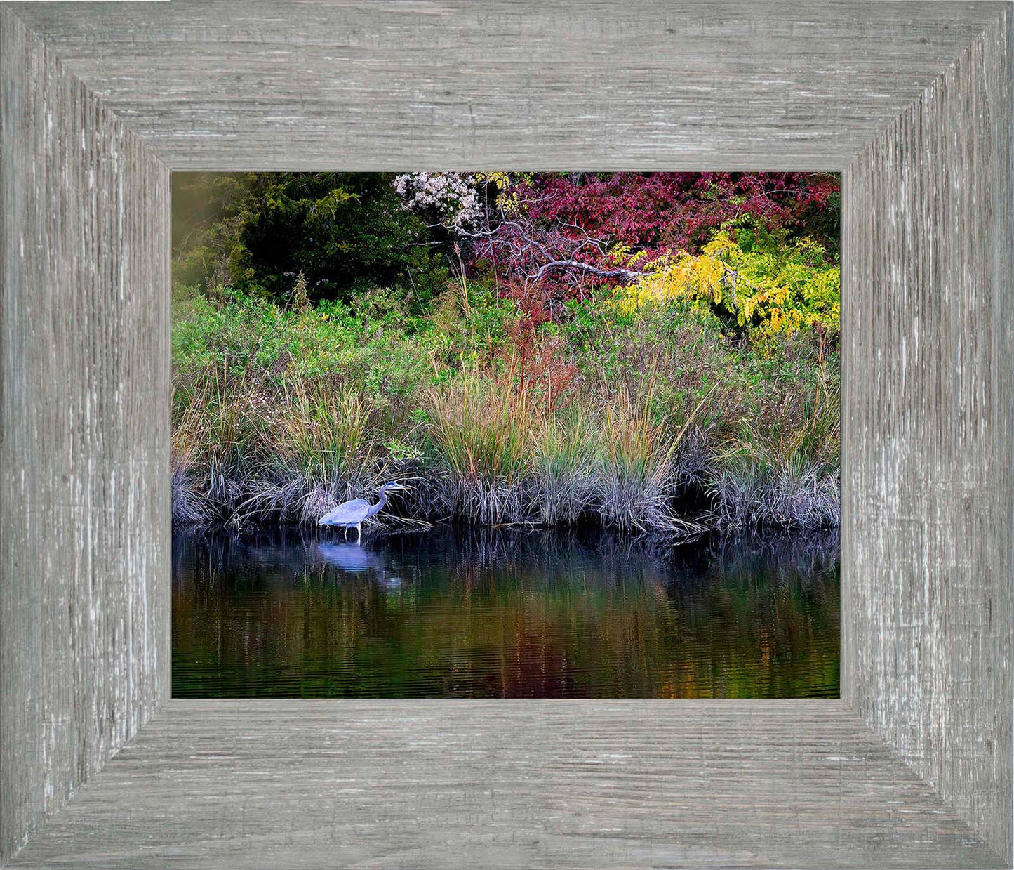 Cadle Creek Heron (Landscape) -- Digital Print