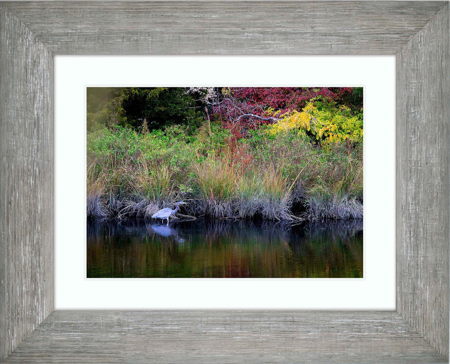 Cadle Creek Heron (Landscape) -- Digital Print