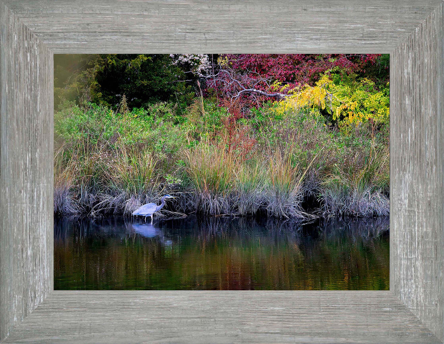 Cadle Creek Heron (Landscape) -- Digital Print