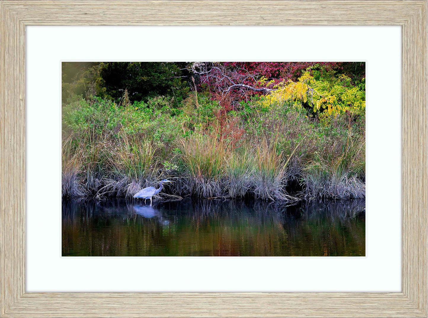 Cadle Creek Heron (Landscape) -- Digital Print
