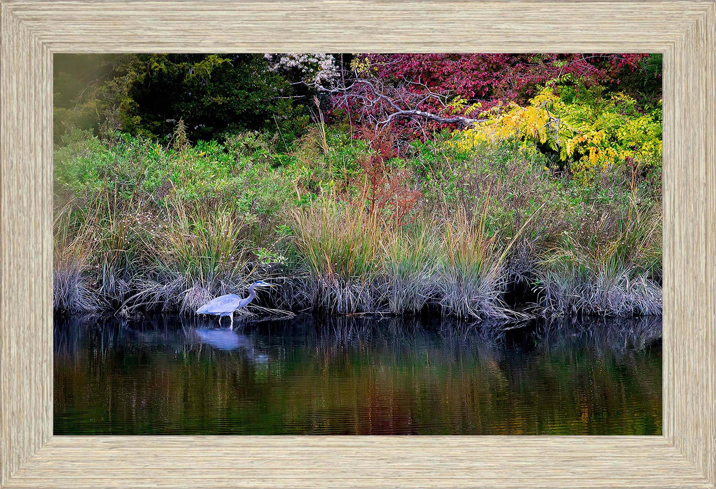 Cadle Creek Heron (Landscape) -- Digital Print
