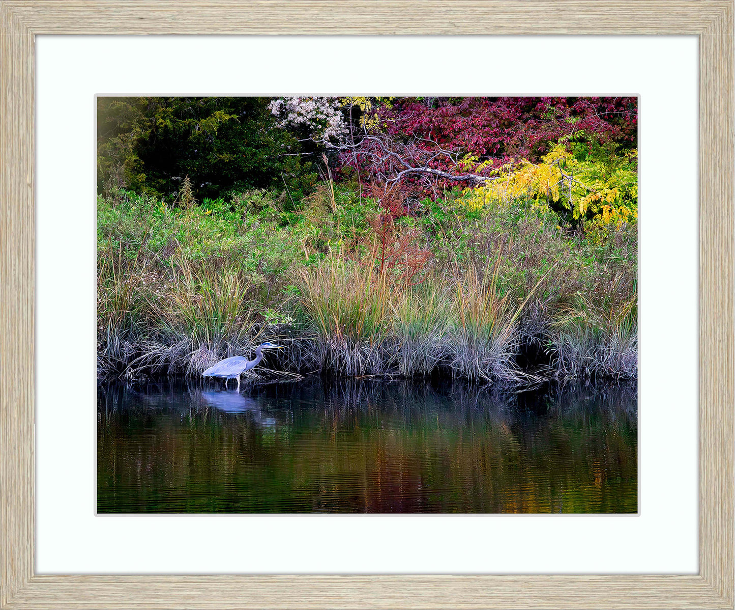 Cadle Creek Heron (Landscape) -- Digital Print