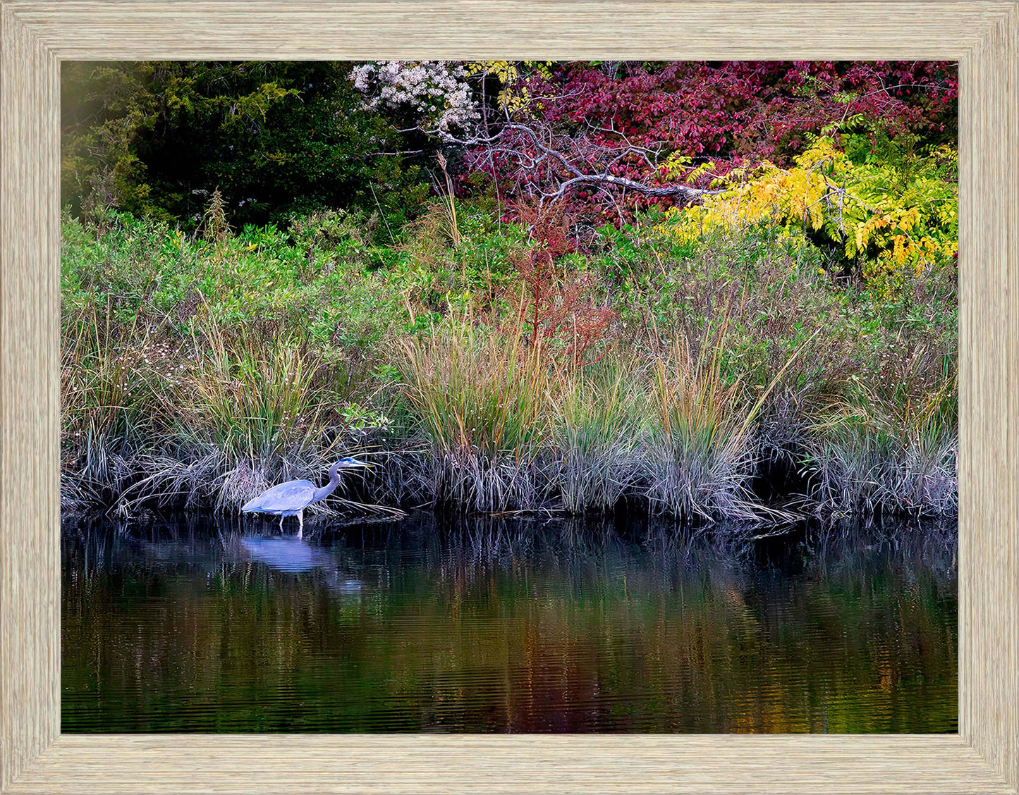 Cadle Creek Heron (Landscape) -- Digital Print