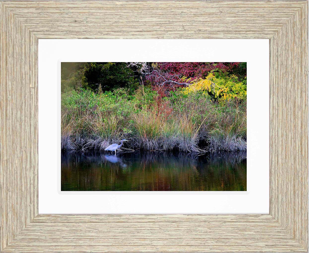 Cadle Creek Heron (Landscape) -- Digital Print