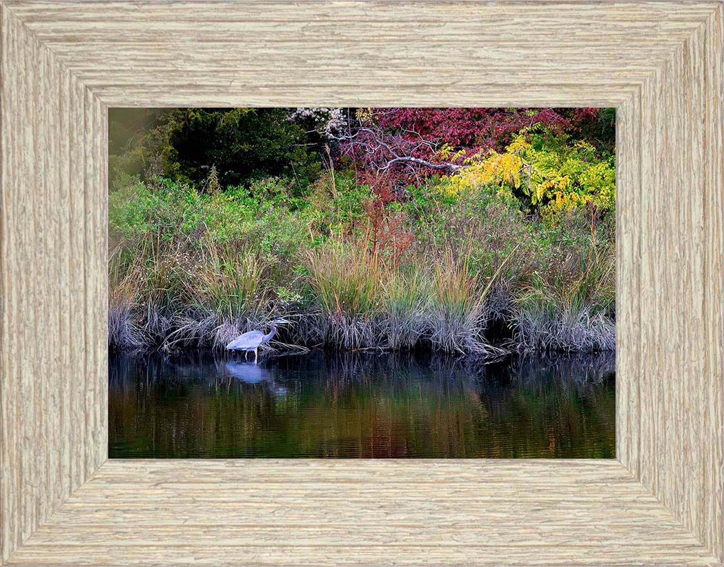 Cadle Creek Heron (Landscape) -- Digital Print