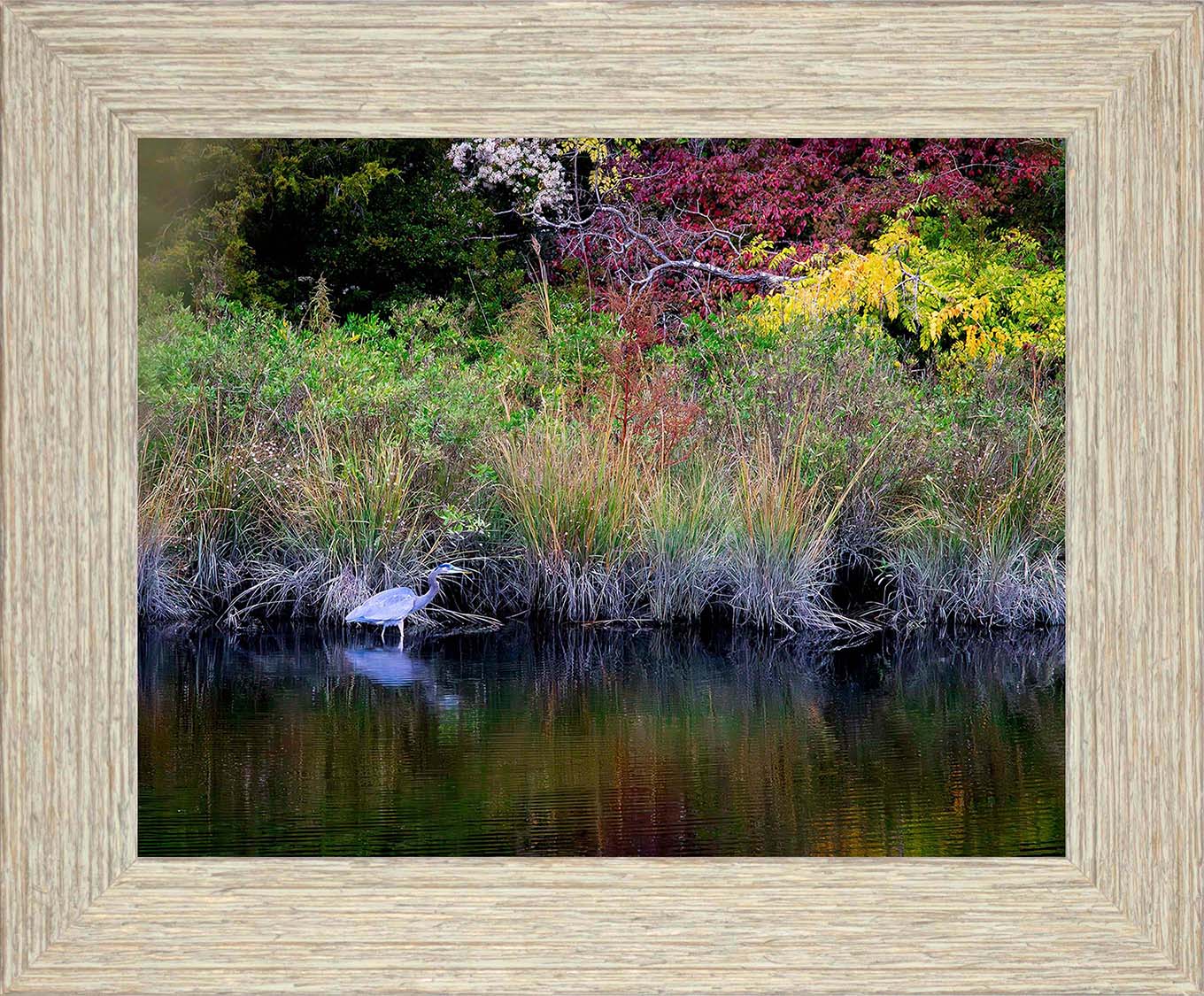 Cadle Creek Heron (Landscape) -- Digital Print