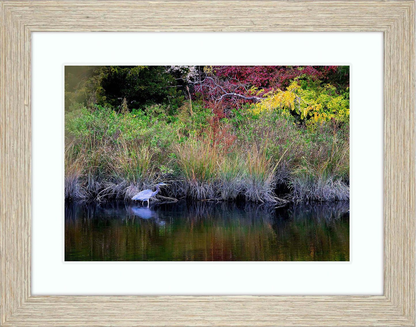 Cadle Creek Heron (Landscape) -- Digital Print