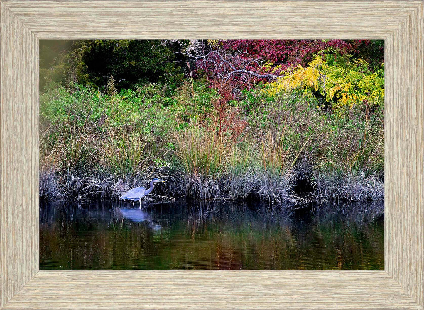 Cadle Creek Heron (Landscape) -- Digital Print
