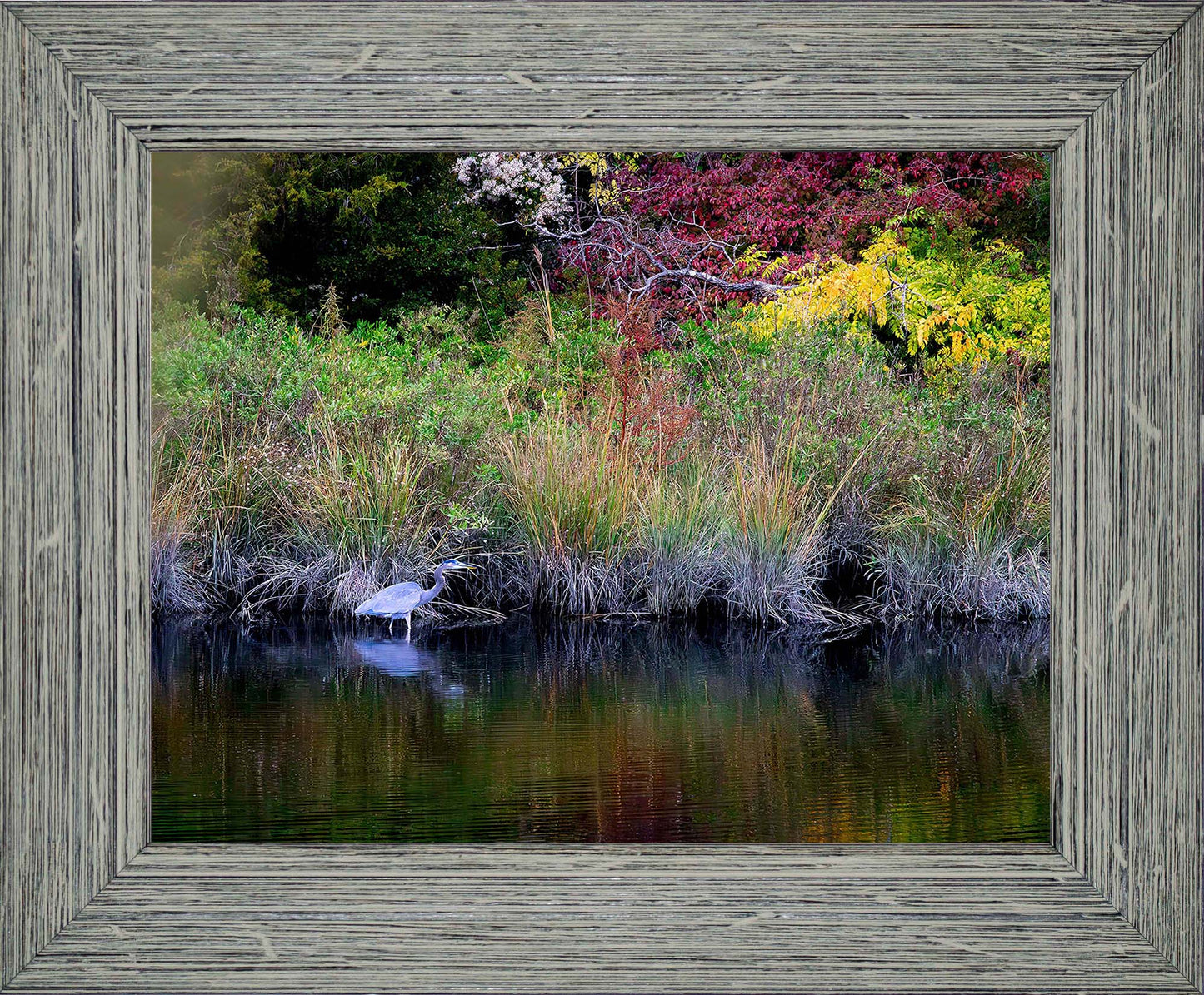 Cadle Creek Heron (Landscape) -- Digital Print