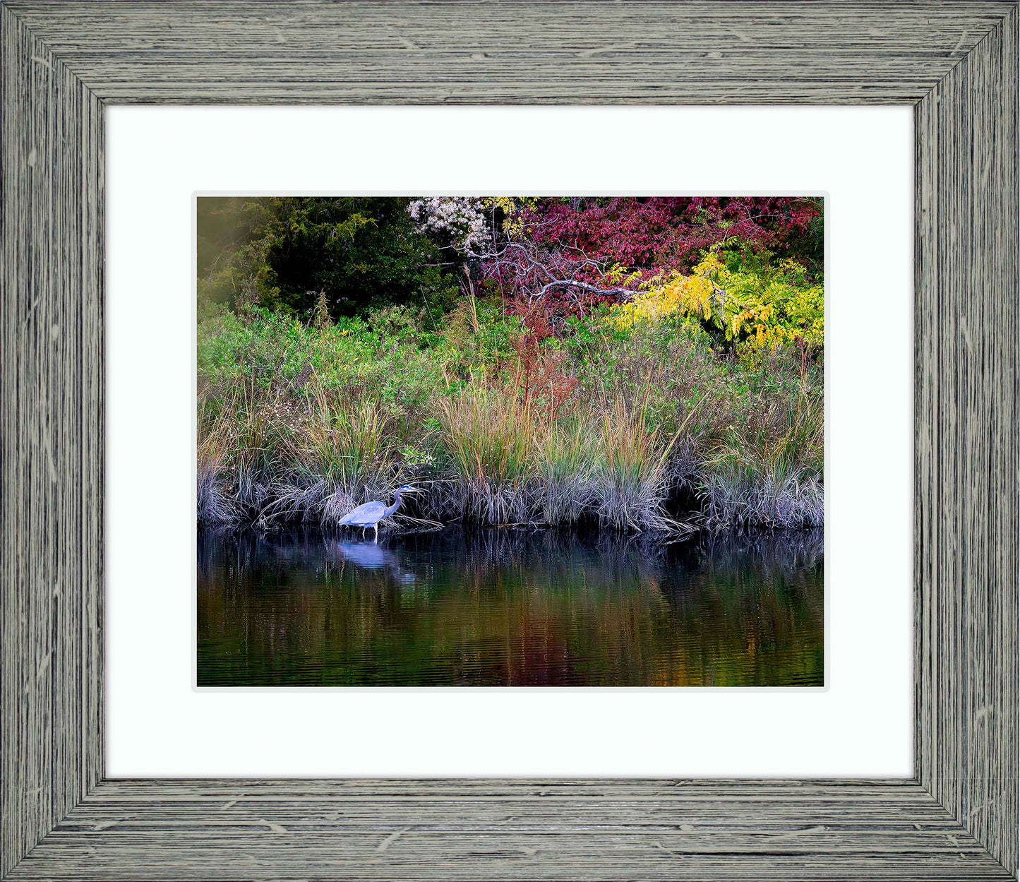 Cadle Creek Heron (Landscape) -- Digital Print