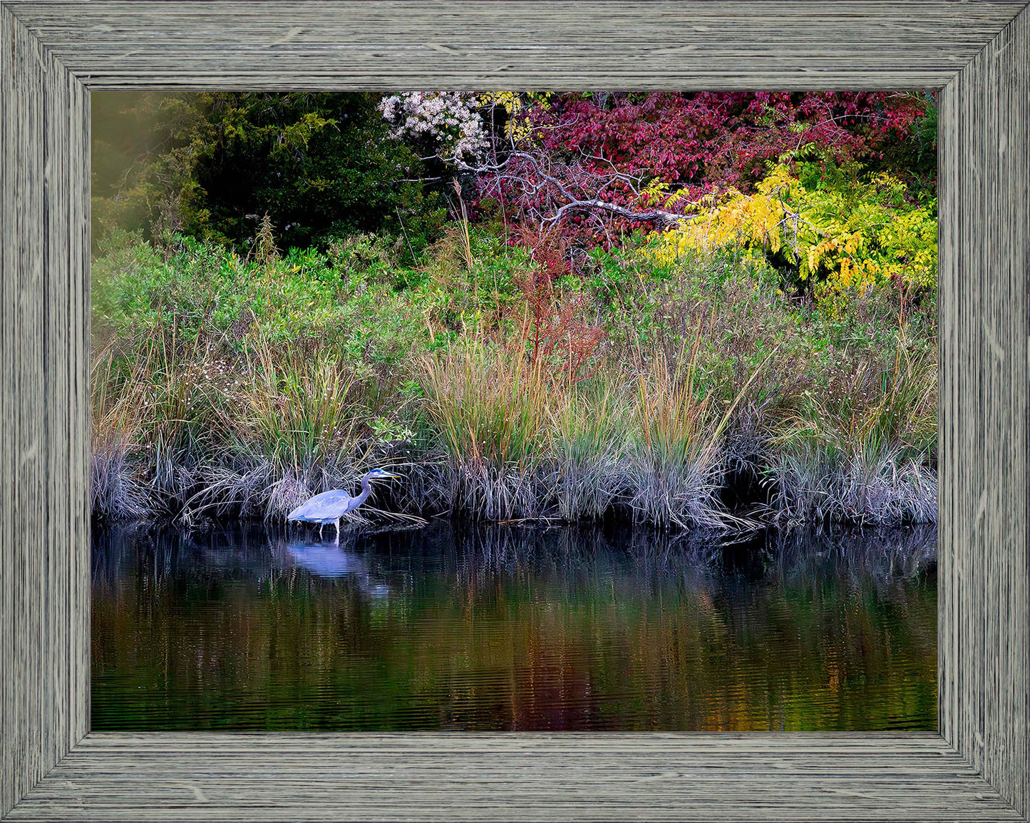 Cadle Creek Heron (Landscape) -- Digital Print