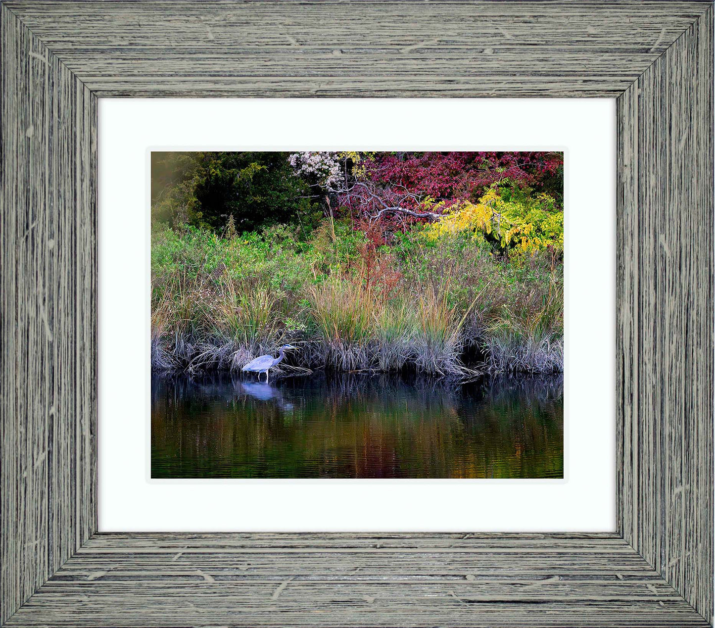 Cadle Creek Heron (Landscape) -- Digital Print