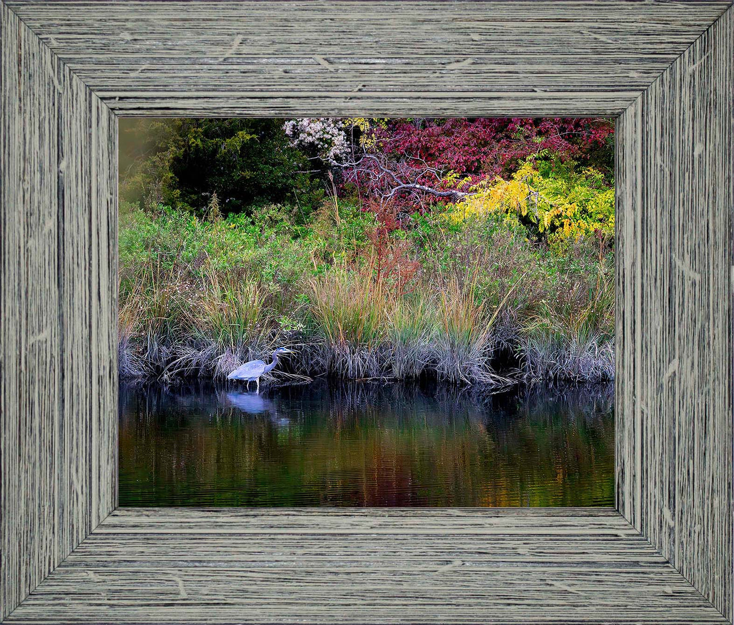 Cadle Creek Heron (Landscape) -- Digital Print