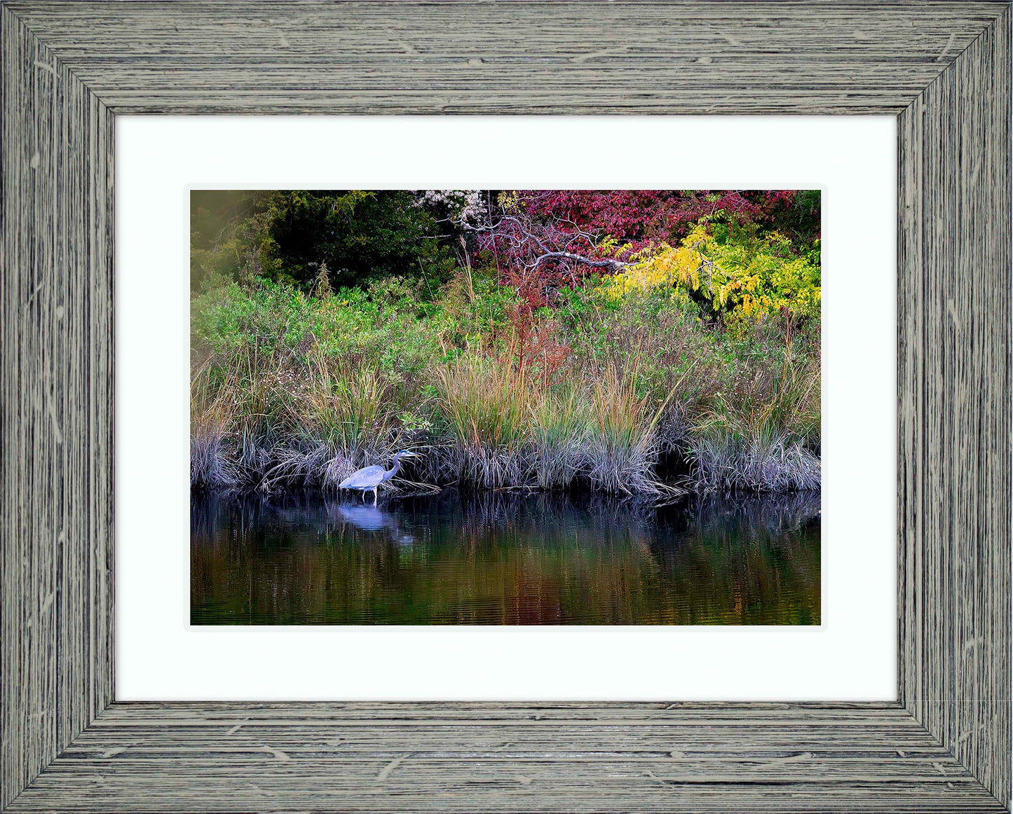 Cadle Creek Heron (Landscape) -- Digital Print