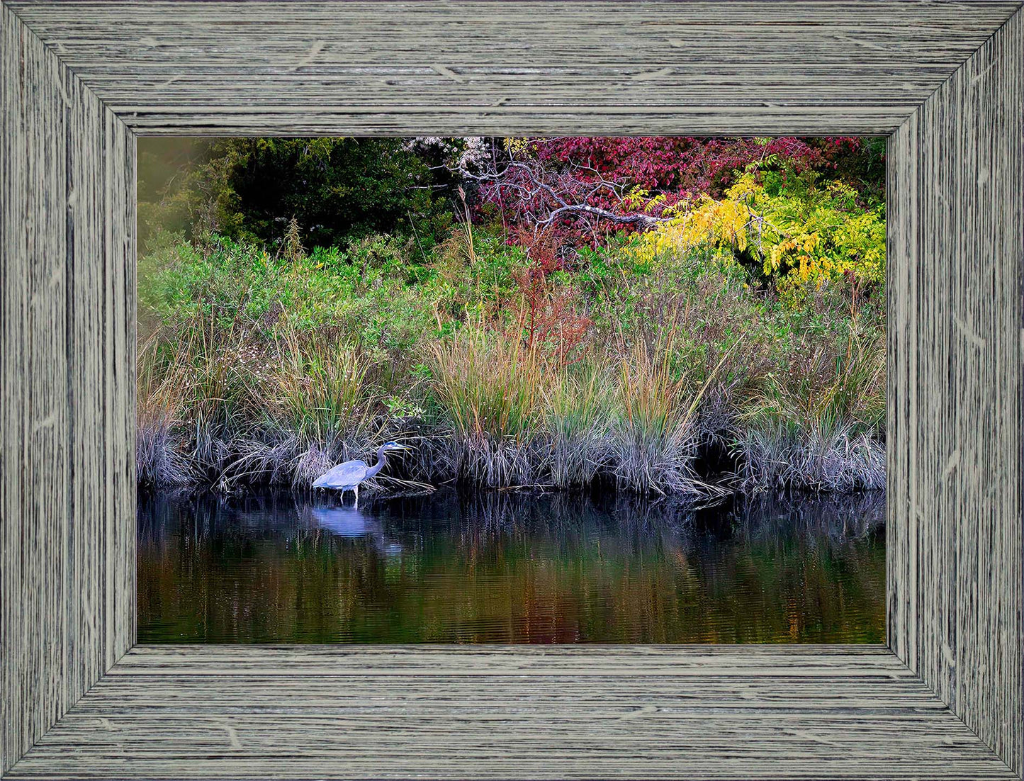 Cadle Creek Heron (Landscape) -- Digital Print
