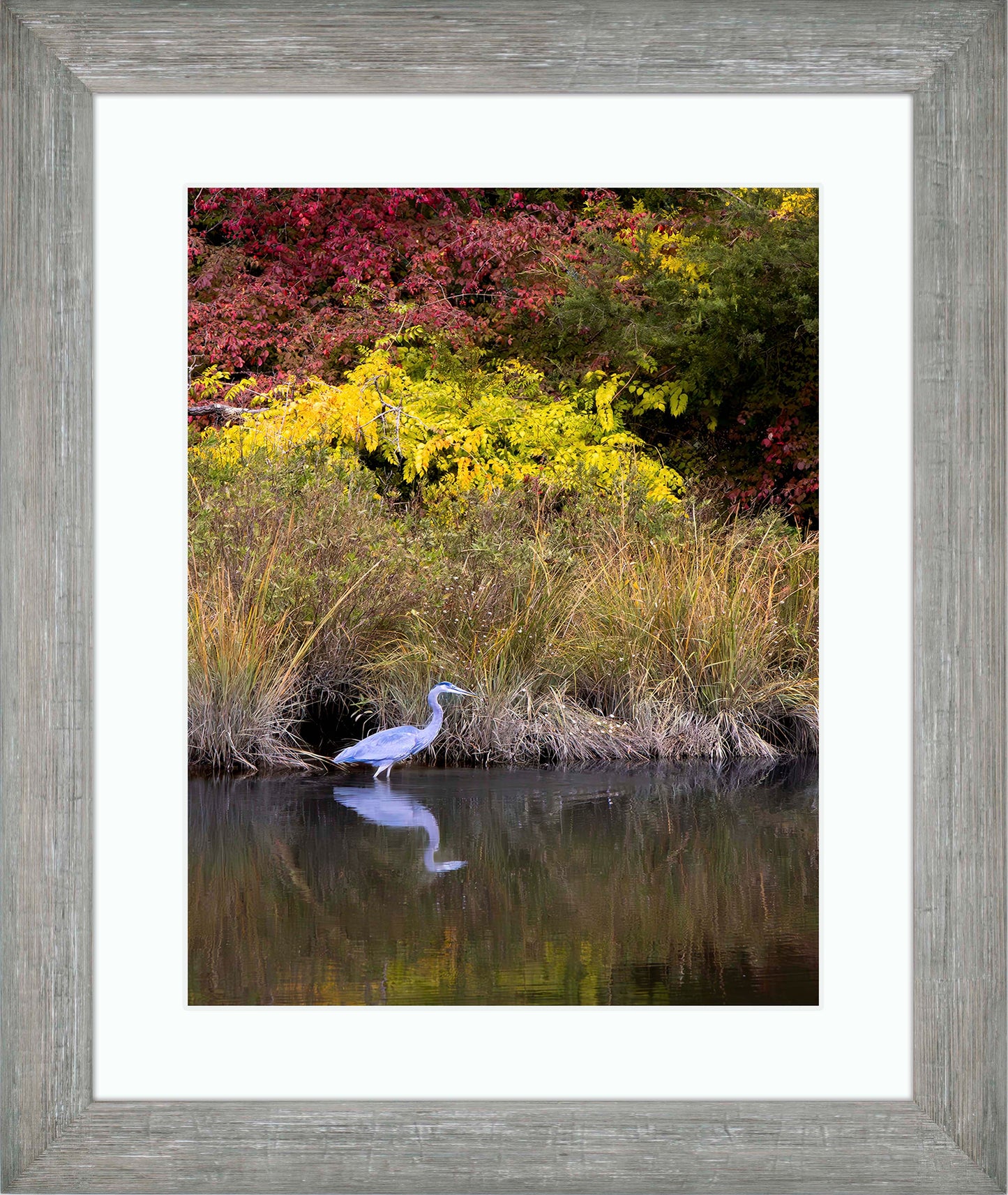 Cadle Creek Heron (Portrait) -- Digital Print