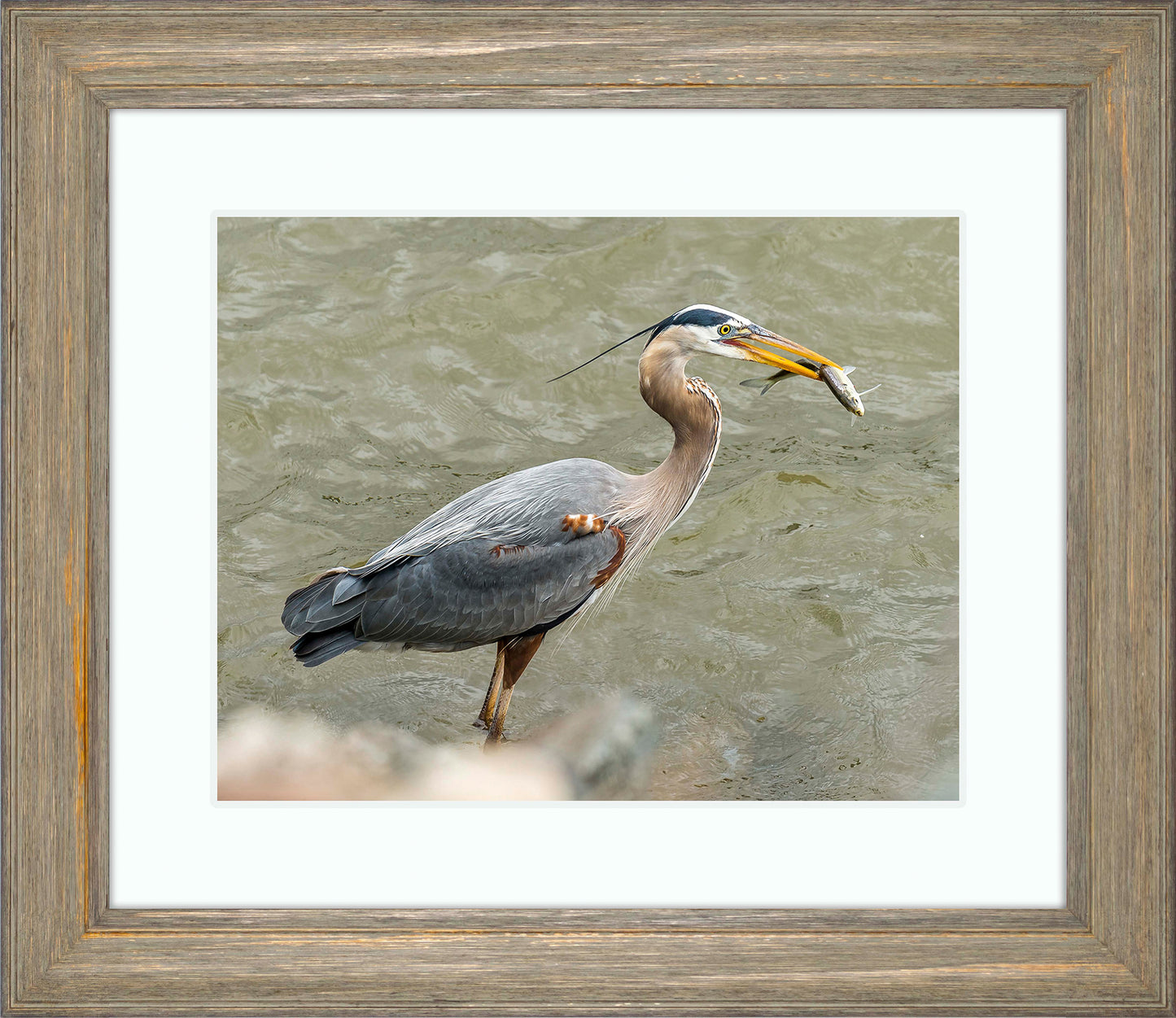 Conowingo Dinner -- Digital Print