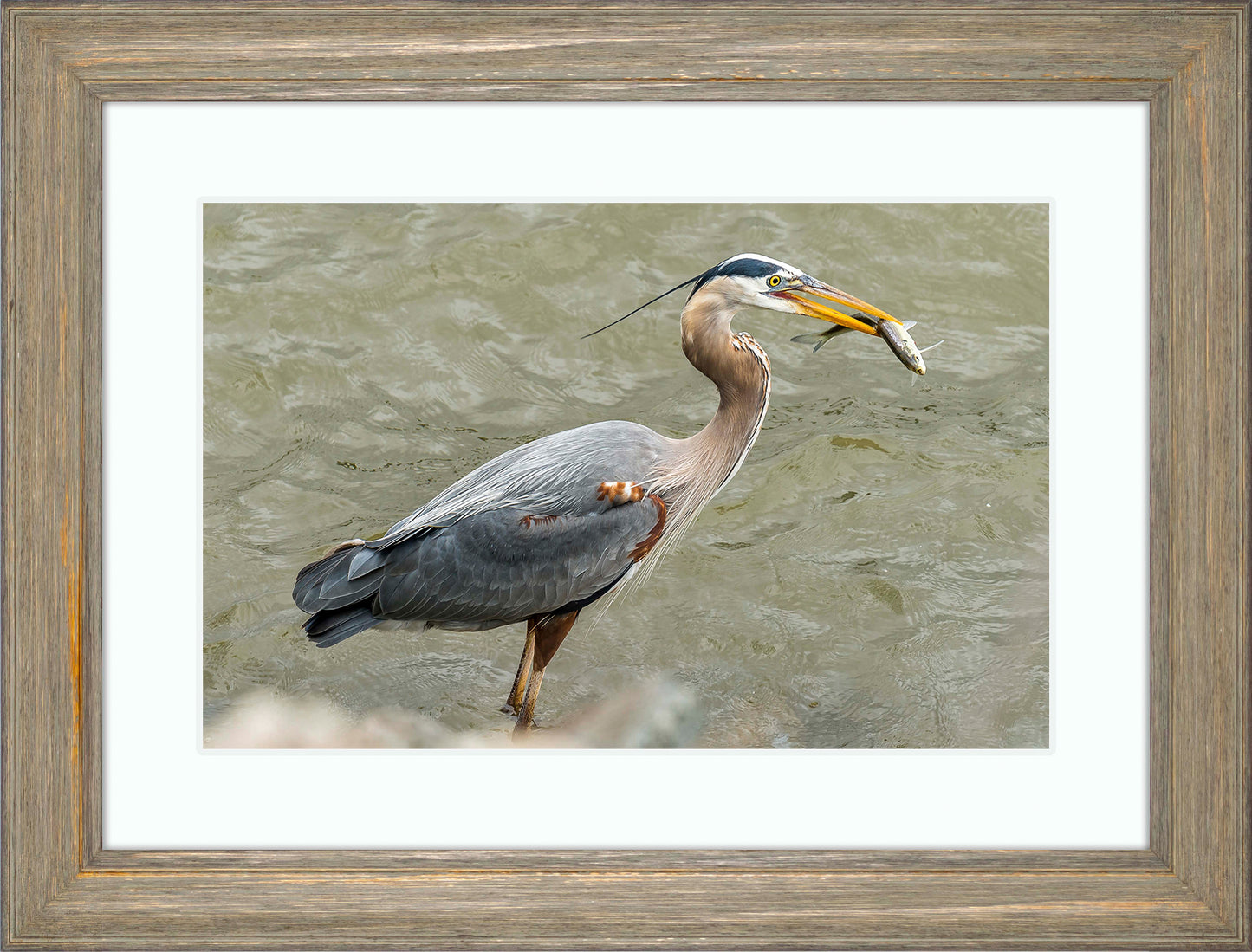 Conowingo Dinner -- Digital Print