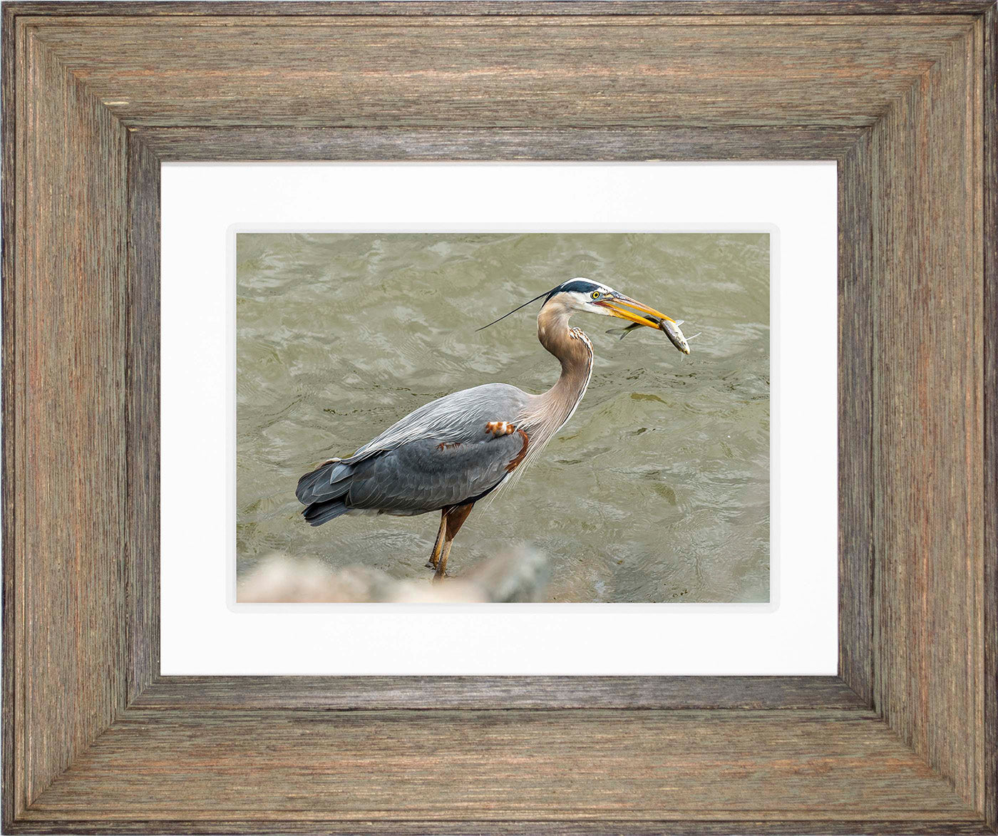 Conowingo Dinner -- Digital Print