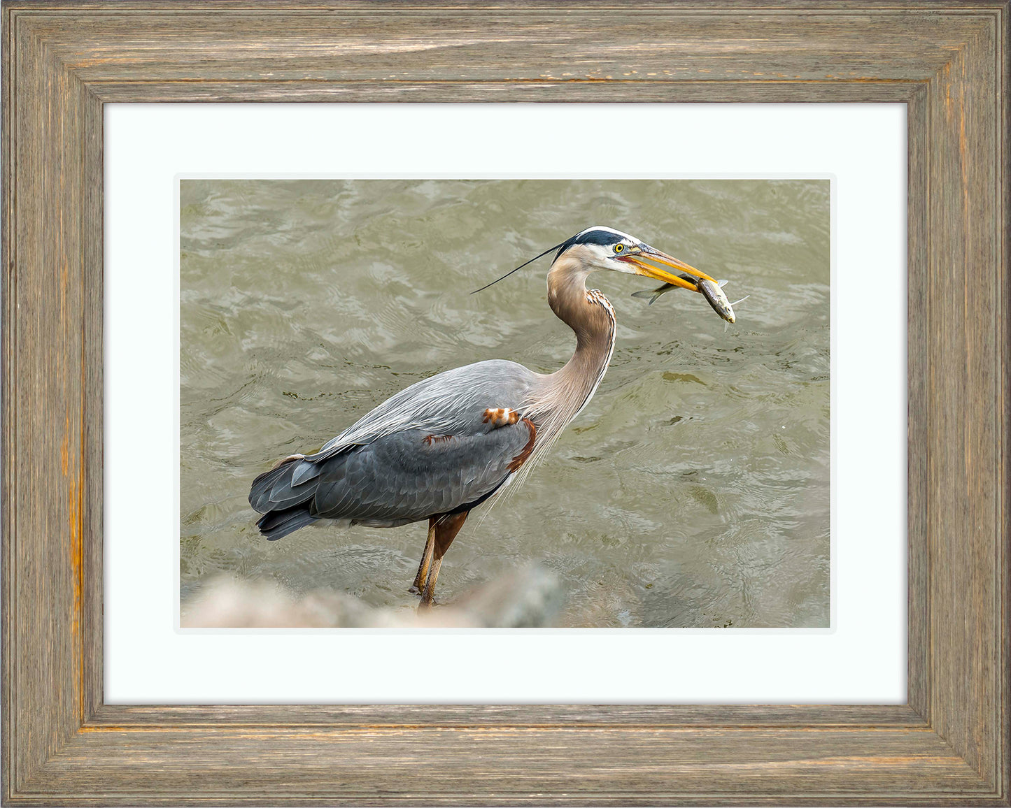 Conowingo Dinner -- Digital Print