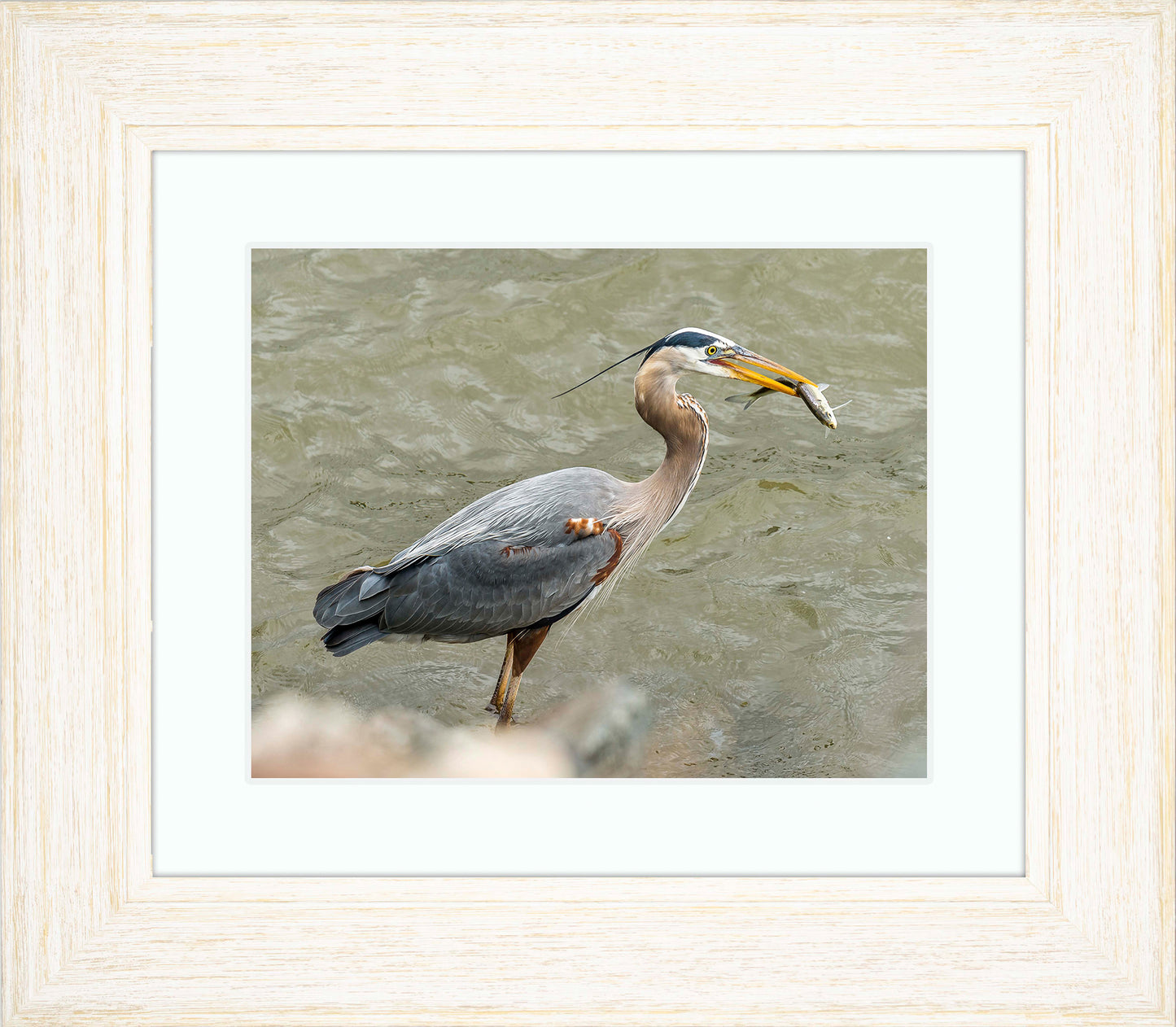 Conowingo Dinner -- Digital Print