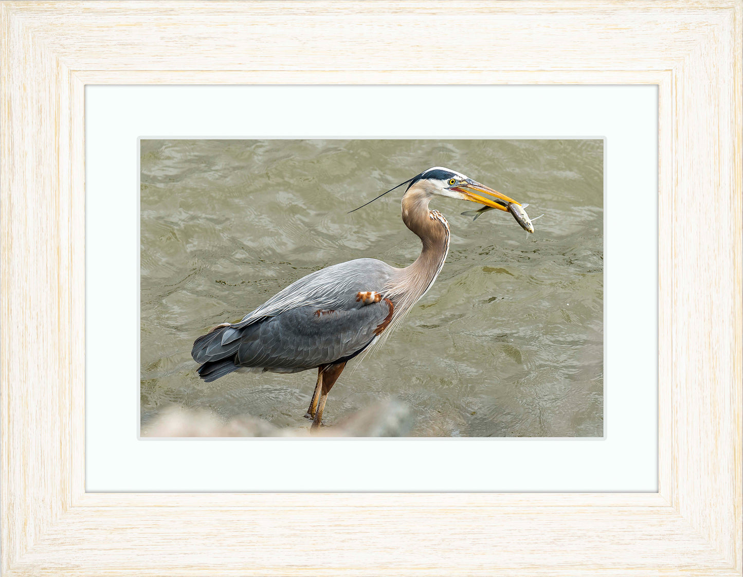 Conowingo Dinner -- Digital Print