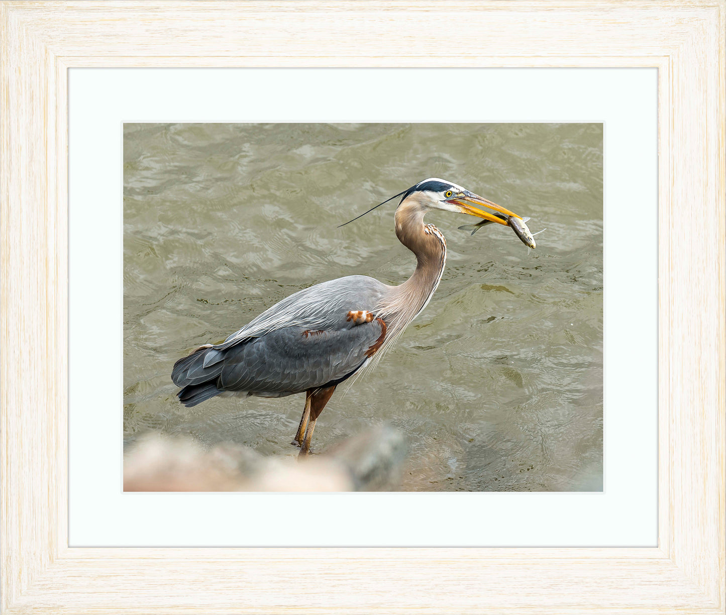 Conowingo Dinner -- Digital Print