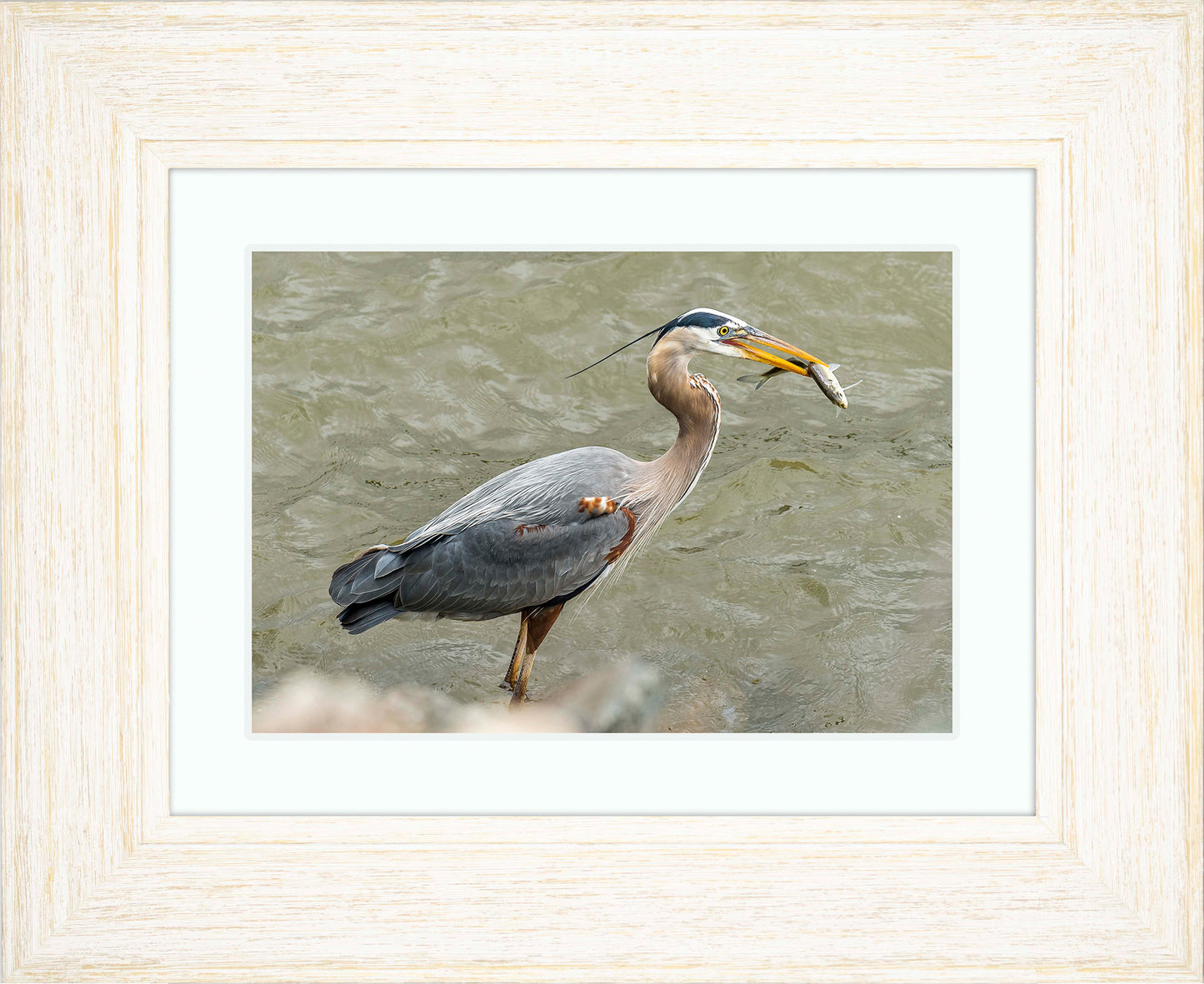 Conowingo Dinner -- Digital Print