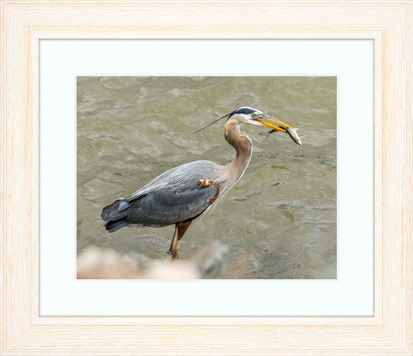 Conowingo Dinner -- Digital Print