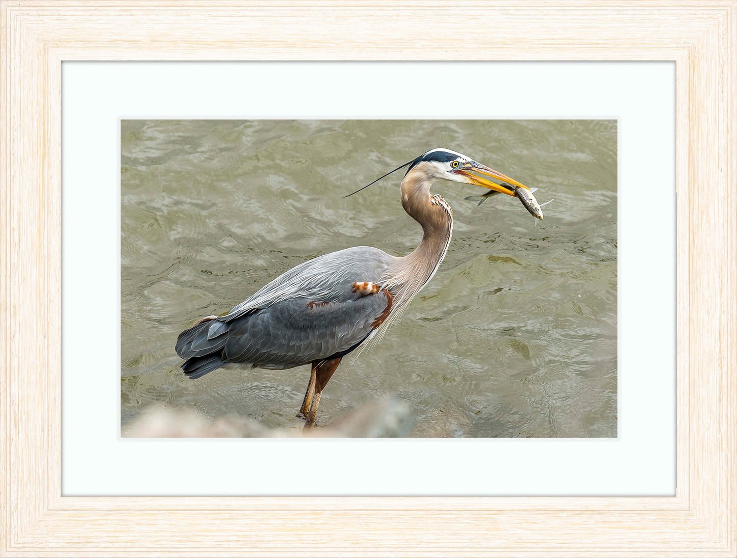 Conowingo Dinner -- Digital Print