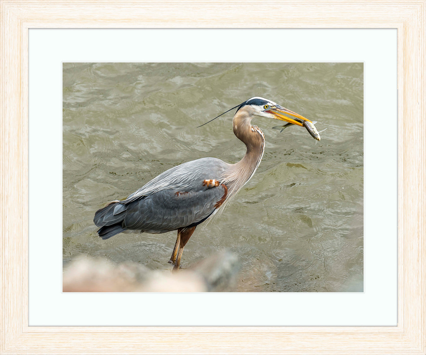 Conowingo Dinner -- Digital Print