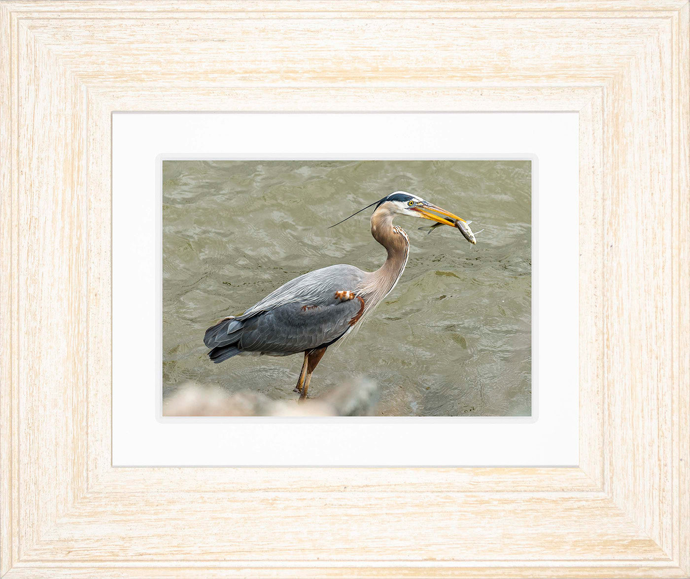 Conowingo Dinner -- Digital Print