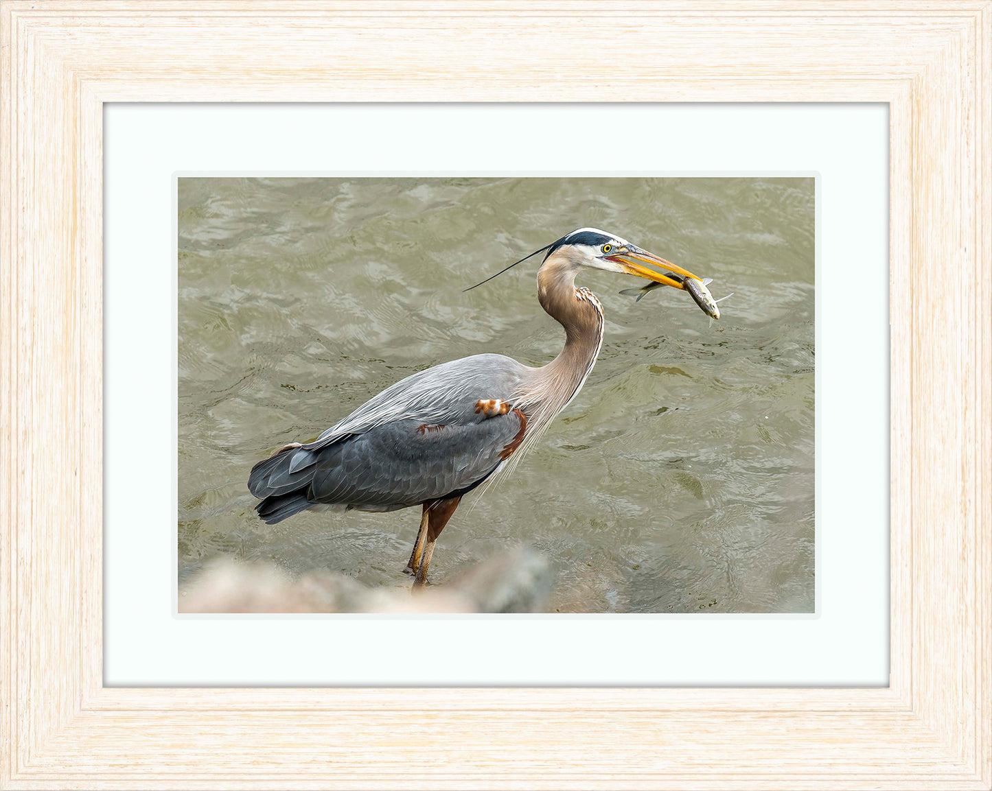 Conowingo Dinner -- Digital Print