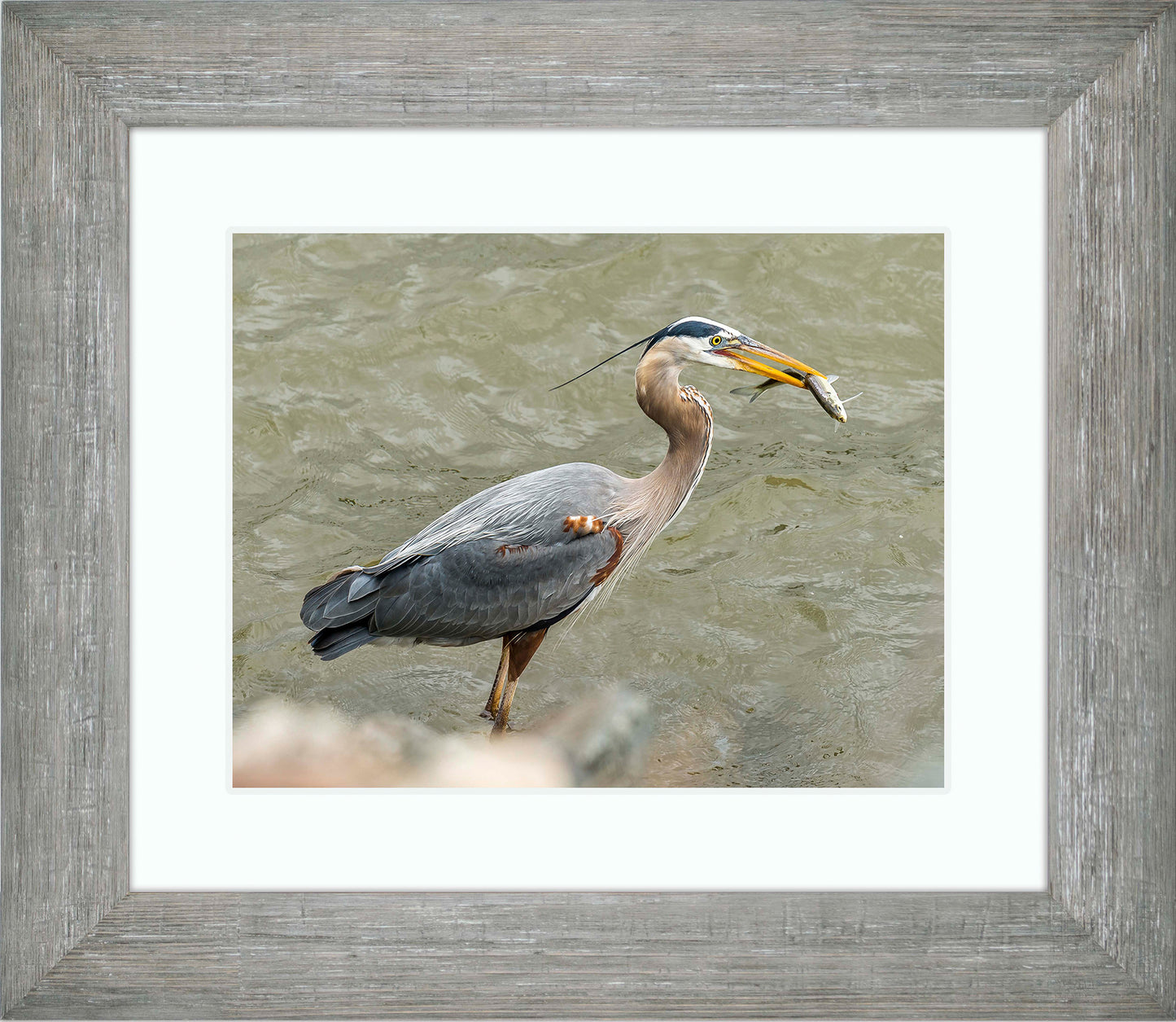 Conowingo Dinner -- Digital Print