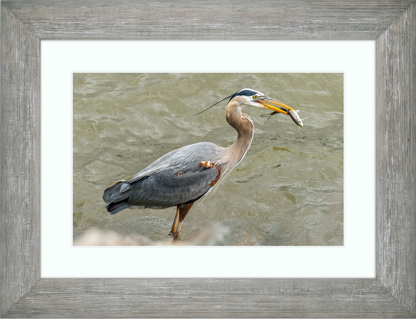 Conowingo Dinner -- Digital Print
