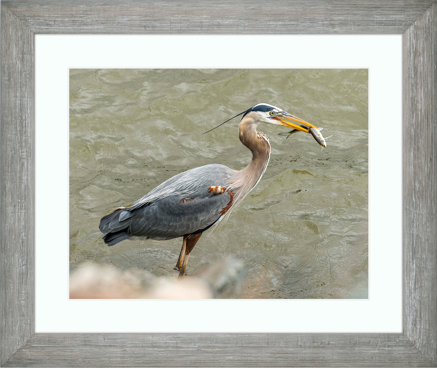 Conowingo Dinner -- Digital Print