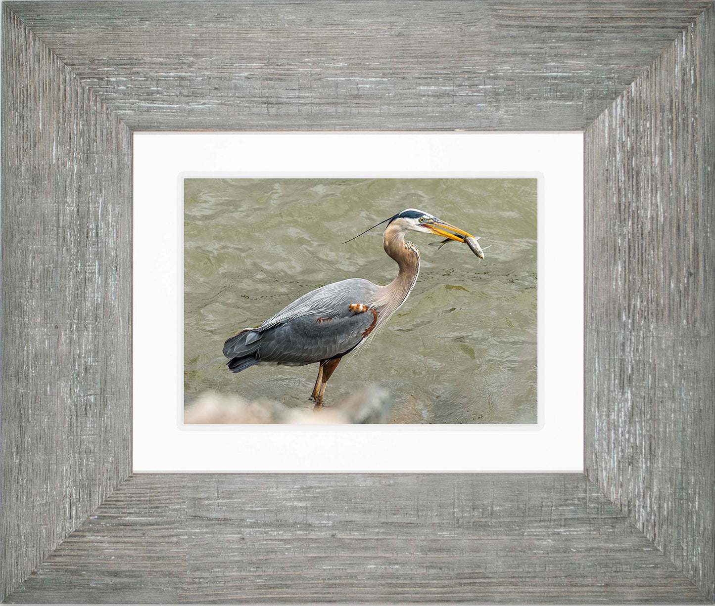 Conowingo Dinner -- Digital Print