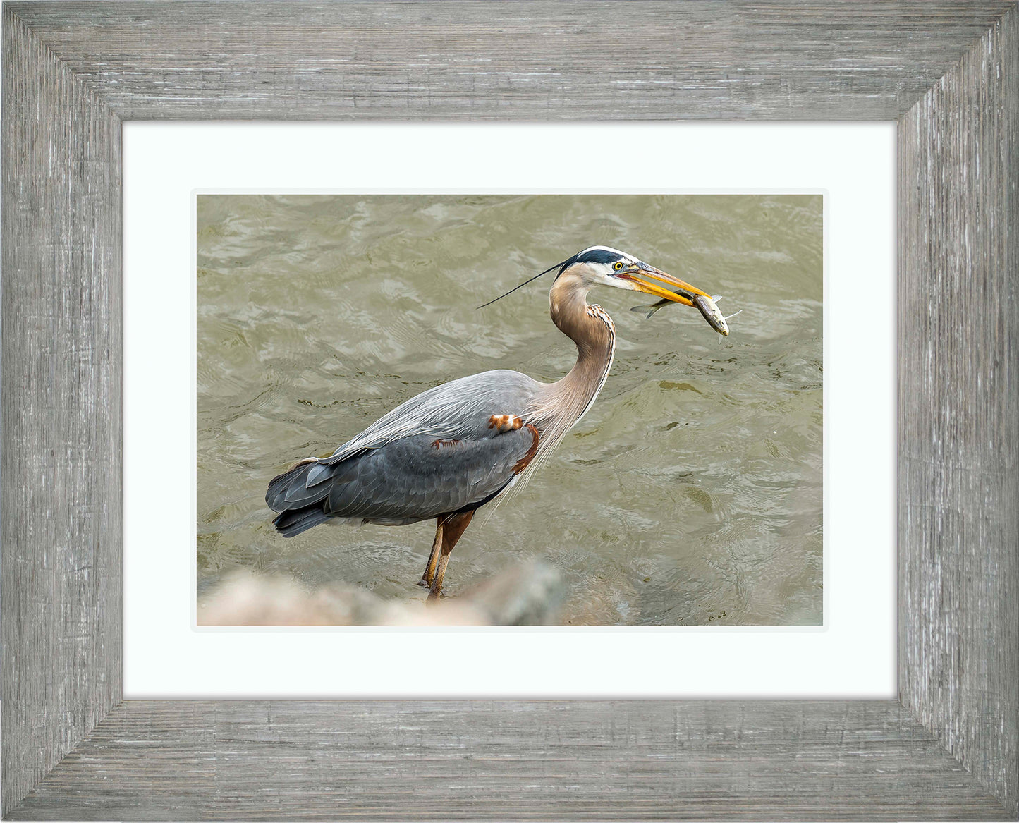 Conowingo Dinner -- Digital Print