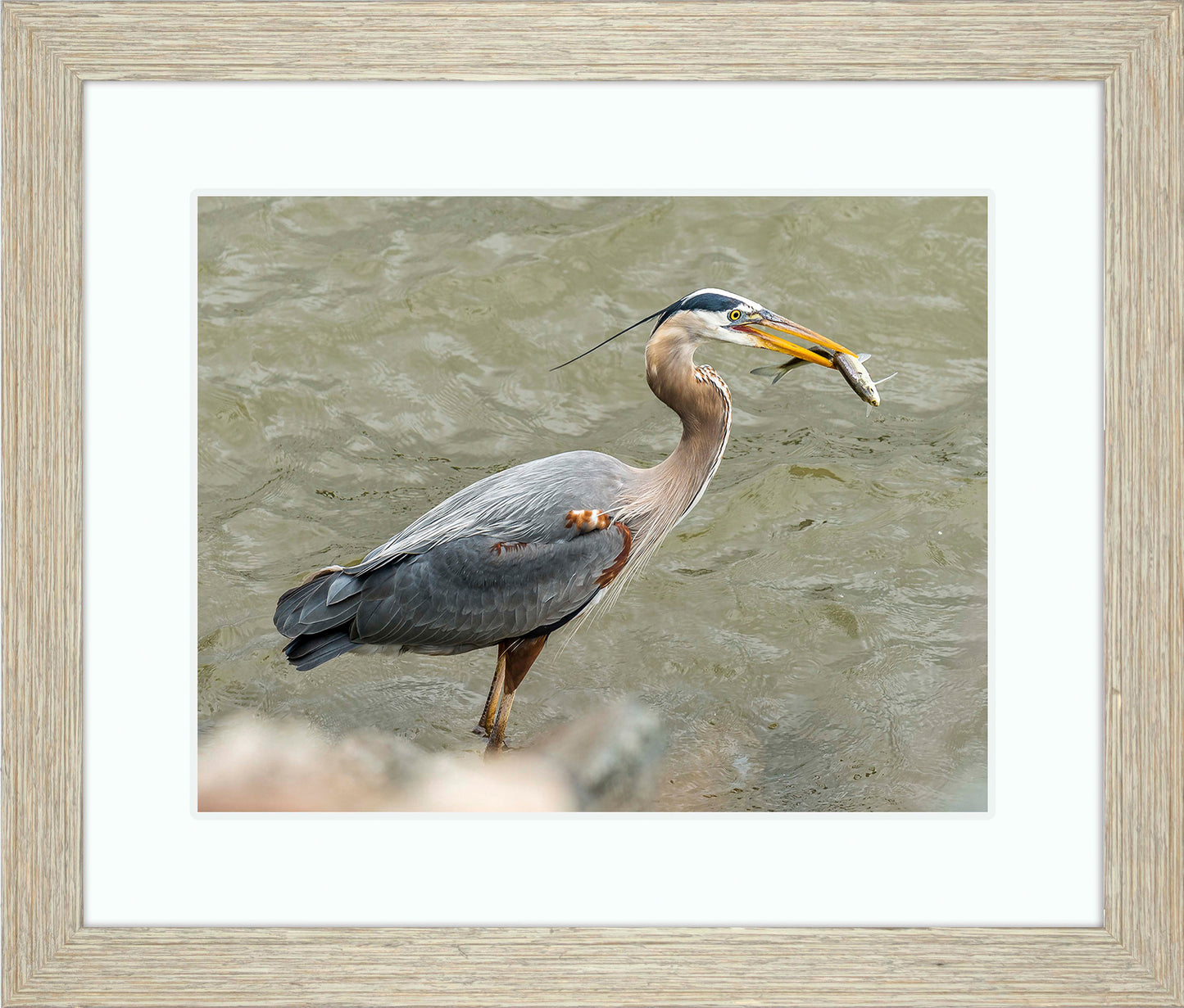 Conowingo Dinner -- Digital Print