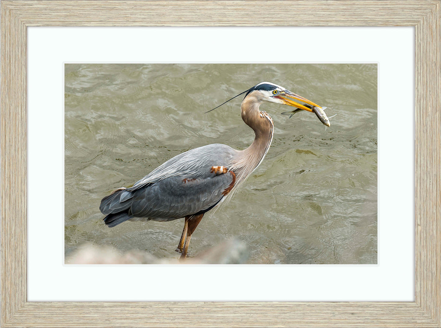 Conowingo Dinner -- Digital Print