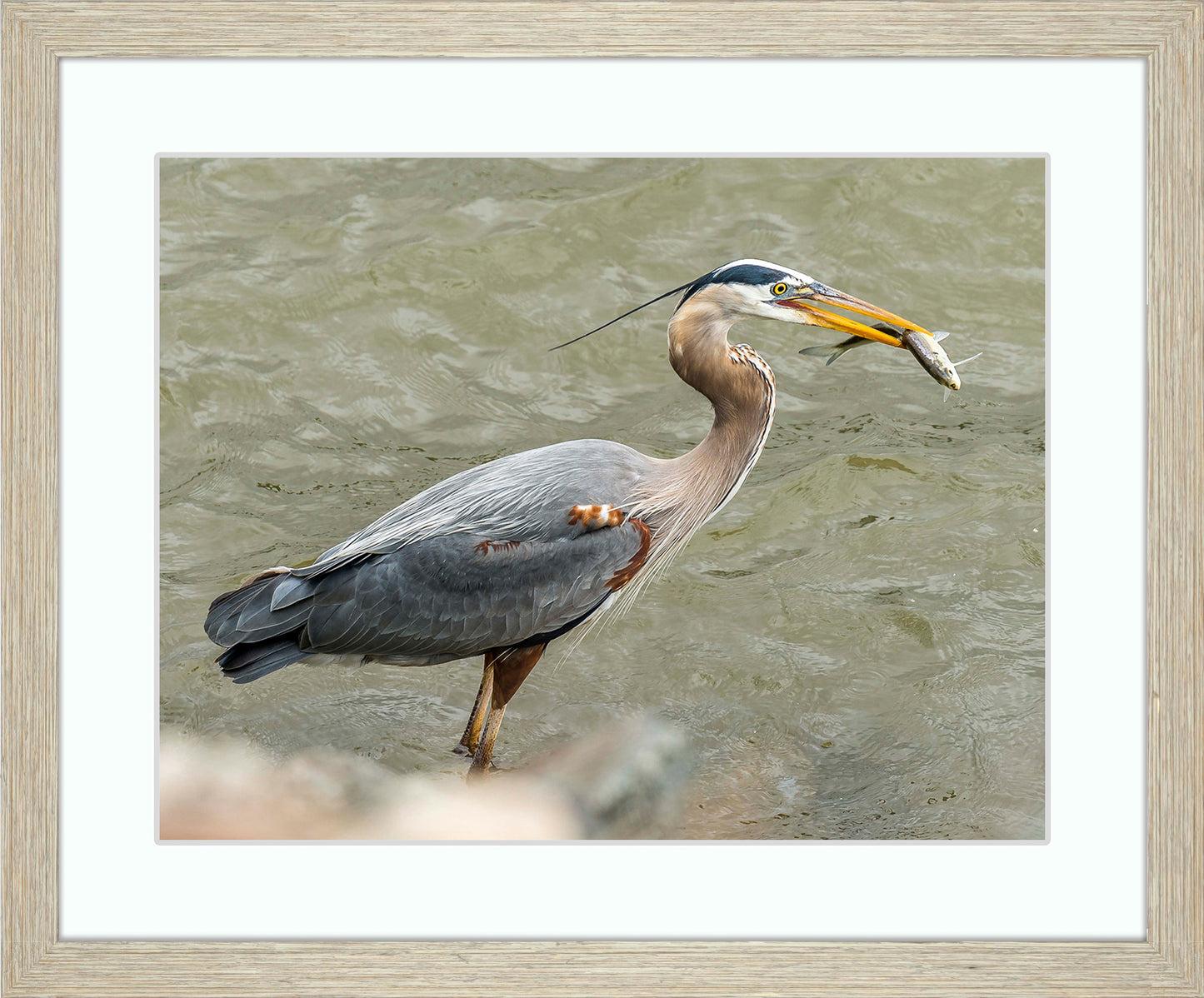Conowingo Dinner -- Digital Print