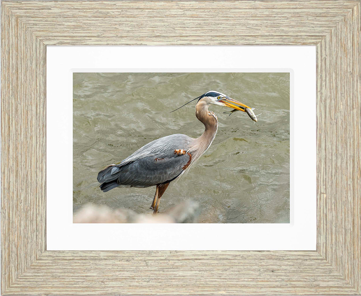 Conowingo Dinner -- Digital Print